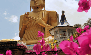 Explore the Wonders of Sri Lanka