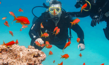 Unforgettable Thailand Adventure