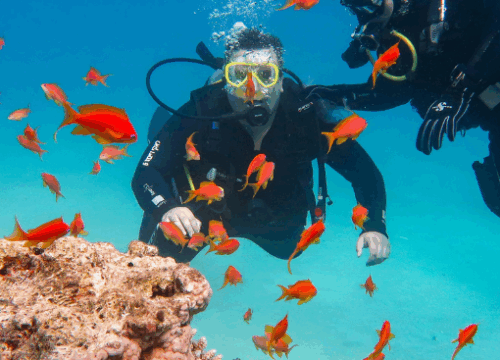coral iland, starreydreamtravel