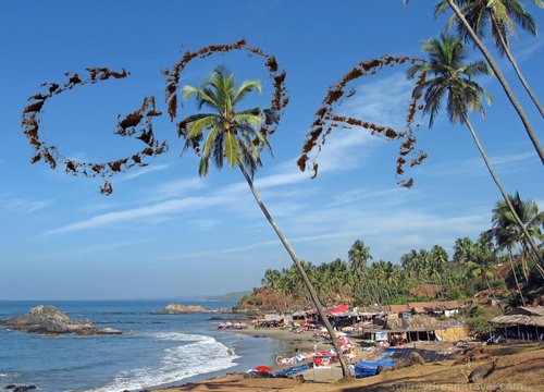 Goa, starreydreamtravel